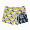 Slipstop Erkek Çocuk Batman Dark Trunk Şort Mayo