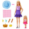 Barbie Malibu ve Chelsea Piknik Oyun Seti JBF43 