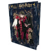 Prime 3D 300 Parça 3D Puzzle Metal Kutu: Harry Potter