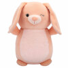 Squishmallows Hugmess Peluş 25 cm Seri-Est B