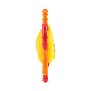 Fisher Price Sevimli Dostlar Dişlik ve Çıngıraklar GGF02