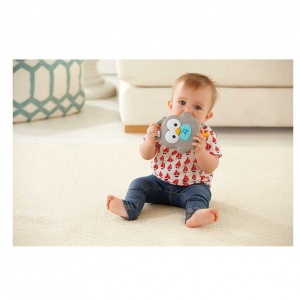 Fisher Price Baykuşlu Dönence 