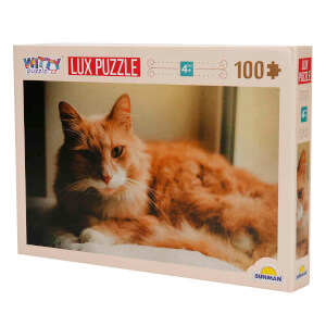 100 Parça Puzzle: Kedi