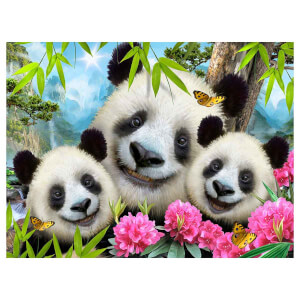 48 Parça 3D Puzzle ve Pelüş: Panda 