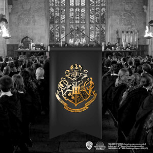 Harry Potter Hogwarts Kırlangıç Flama 02