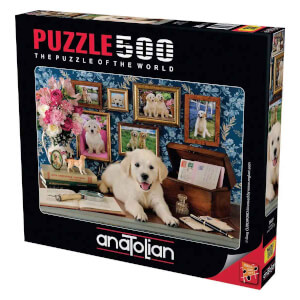 500 Parça Puzzle: Labrador