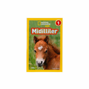 Midilliler