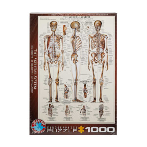1000 Parça Puzzle : The Skeletal System