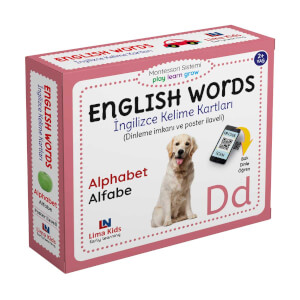 English Words İngilizce Kelime Kartları Alfabe