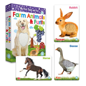 Circle Toys Dokun Hisset Çiftlik Hayvanları ve Meyveler