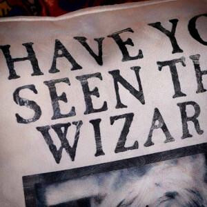 Harry Potter Have You Seen This Wizard Yastık