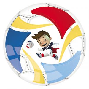 Euro 2016 Pvc Top 14 cm.