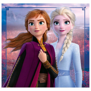 3 x 48 Parça Puzzle: Disney Frozen 