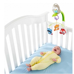 Fisher Price Baykuşlu Dönence 