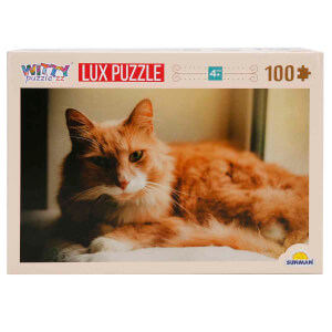 100 Parça Puzzle: Kedi