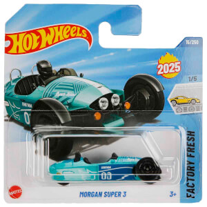 Hot Wheels Tekli Arabalar 