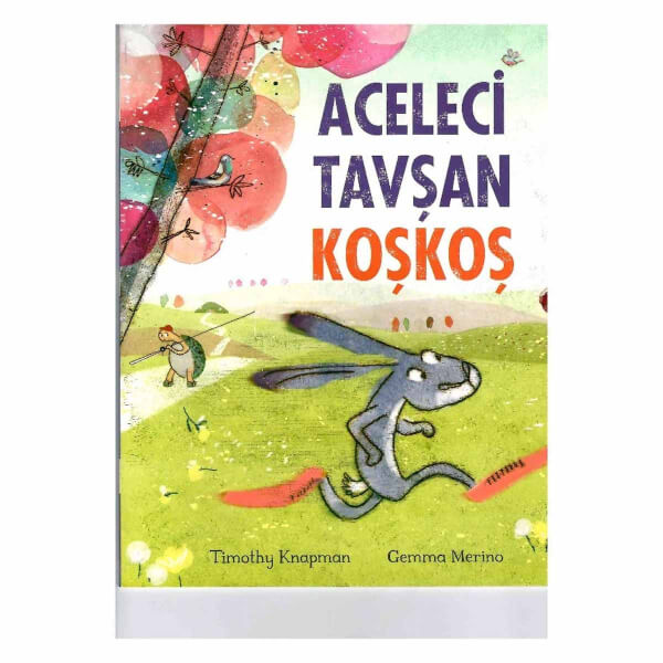 Aceleci Tavşan Koşkoş