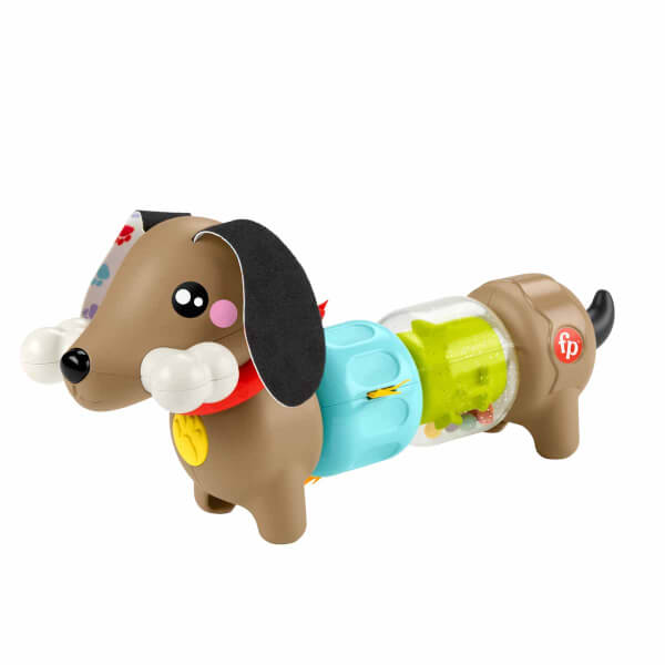 Fisher Price Köpekçikle Eğlenceli Aktiviteler HTW91