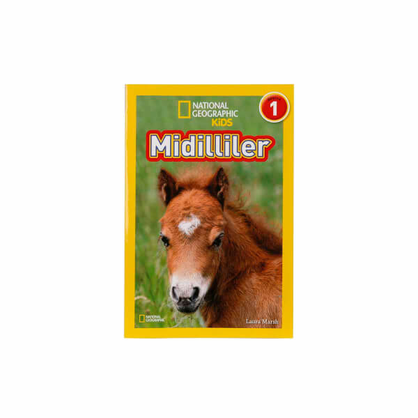 Midilliler