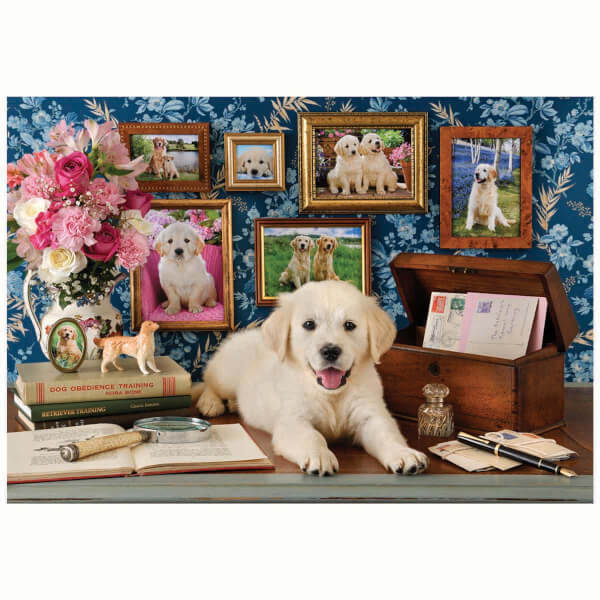 500 Parça Puzzle: Labrador