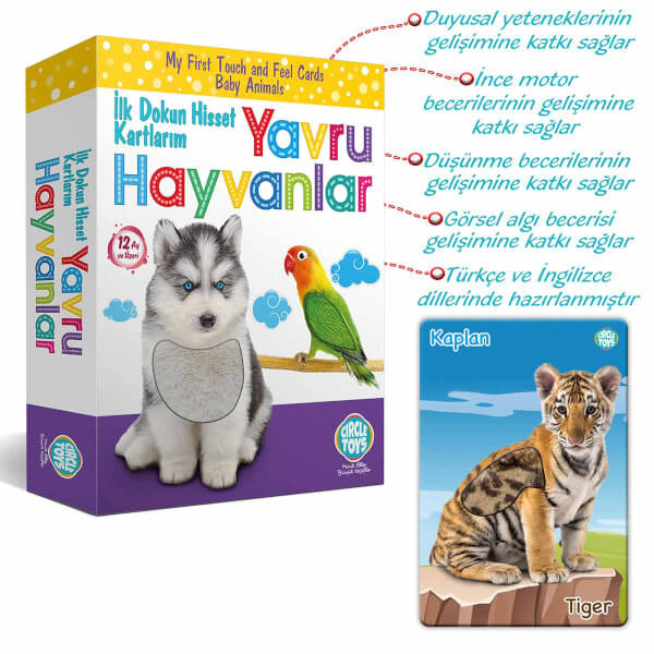 Circle Toys Dokun Hisset Tanı Yavru Hayvanlar Eğitim Kartları