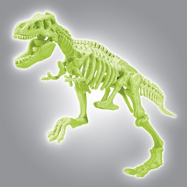 Arkeolog Oluyorum - T-Rex