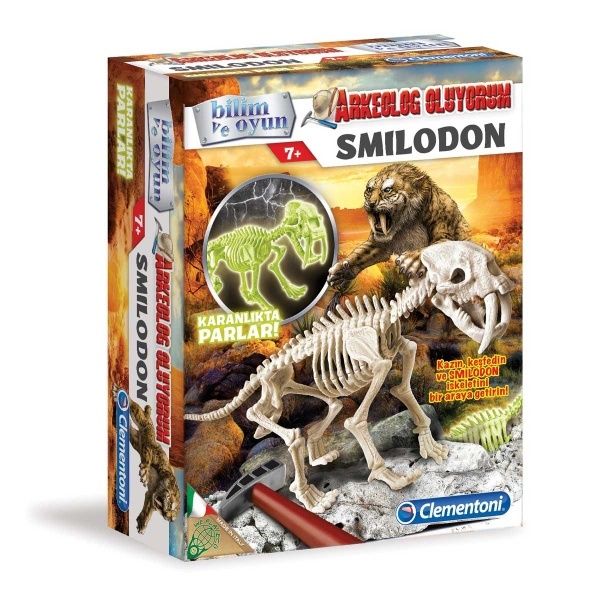 Arkeolog Oluyorum - Smilodon