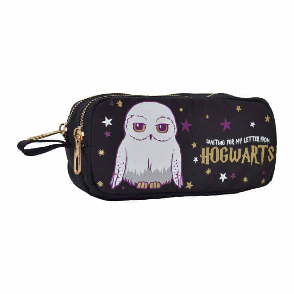 Harry Potter Hogwarts Hedwig Kalem Kutusu 2103