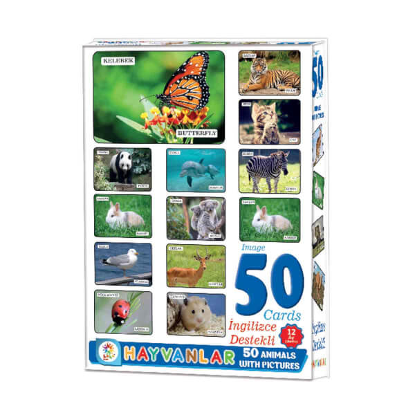 Resimlerle Hayvanlar Alemi İngilizce Destekli Eğitici Kartları 50 Parça