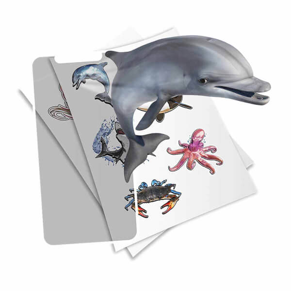 Super Sea Creatures AR Uyumlu Sticker Seti