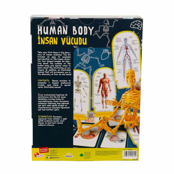 Bilim Seti: İnsan Vücudu 