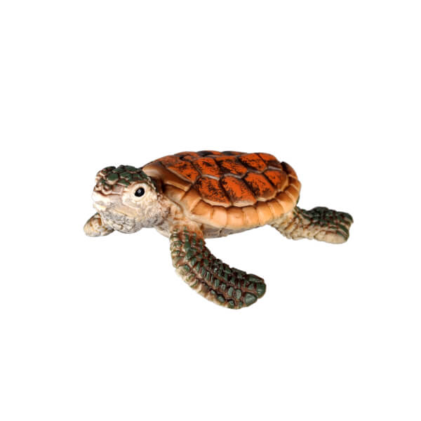 Yavru Deniz Kaplumbağası 