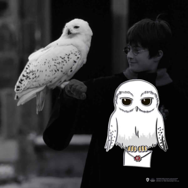 Harry Potter Hedwig Rozet