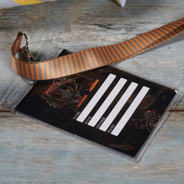 Harry Potter Hediye Kutusu Hufflepuff
