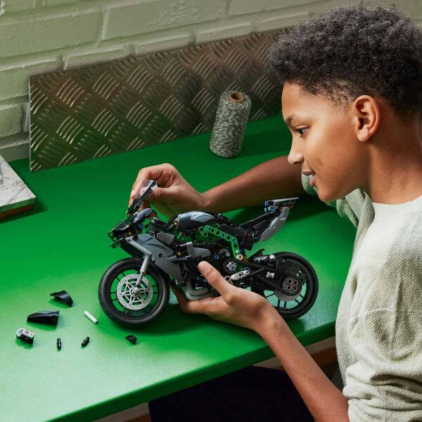 LEGO Technic Kawasaki Ninja H2R Motosiklet 42170 - 10 Yaş ve Üzeri Çocuklar için Koleksiyonluk Yaratıcı Oyuncak Model Yapım Seti (643 Parça)