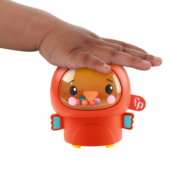 Fisher Price Mini Hayvanlar Aktivite Oyuncağı GXC65
