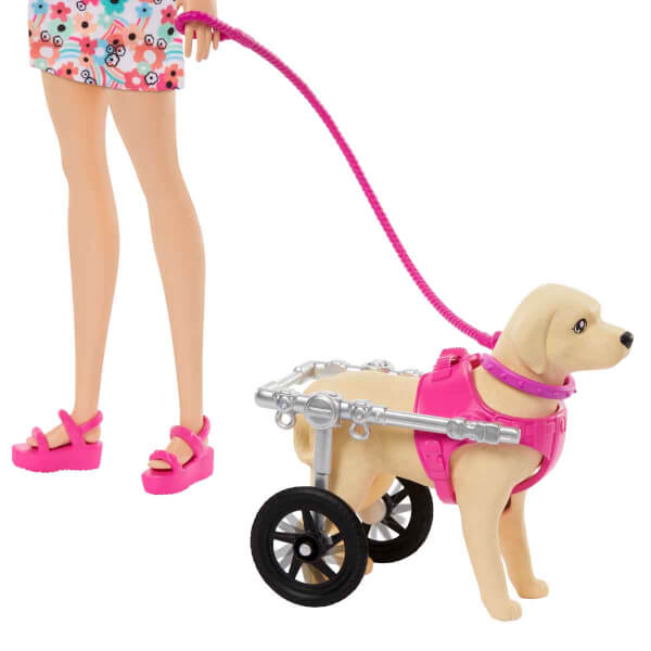 Barbie ve Engelli Köpeği Oyun Seti HTK37