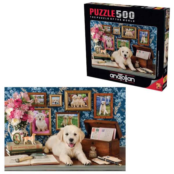 500 Parça Puzzle: Labrador