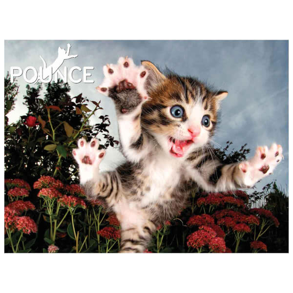 Prime 3D 100 Parça 3D Puzzle: Kedi Pençesi