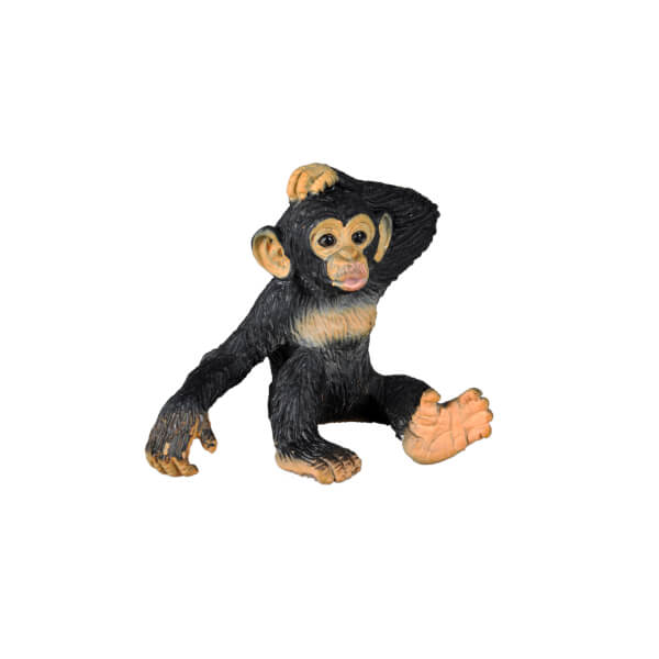 Yavru Şempanze 