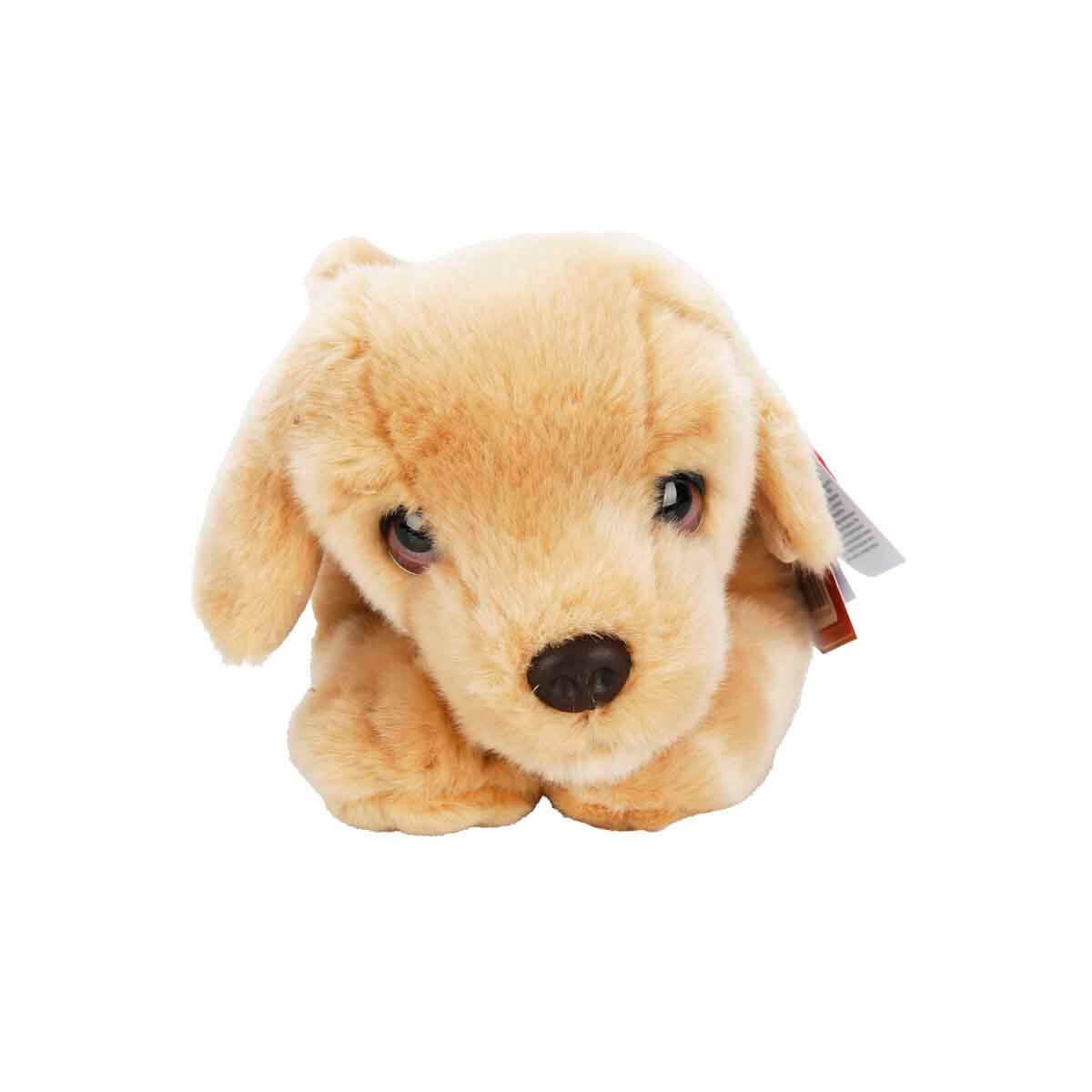 undefined - 00dd0_Yavru_Labrador_Pelus_Kopek_32_cm..jpg