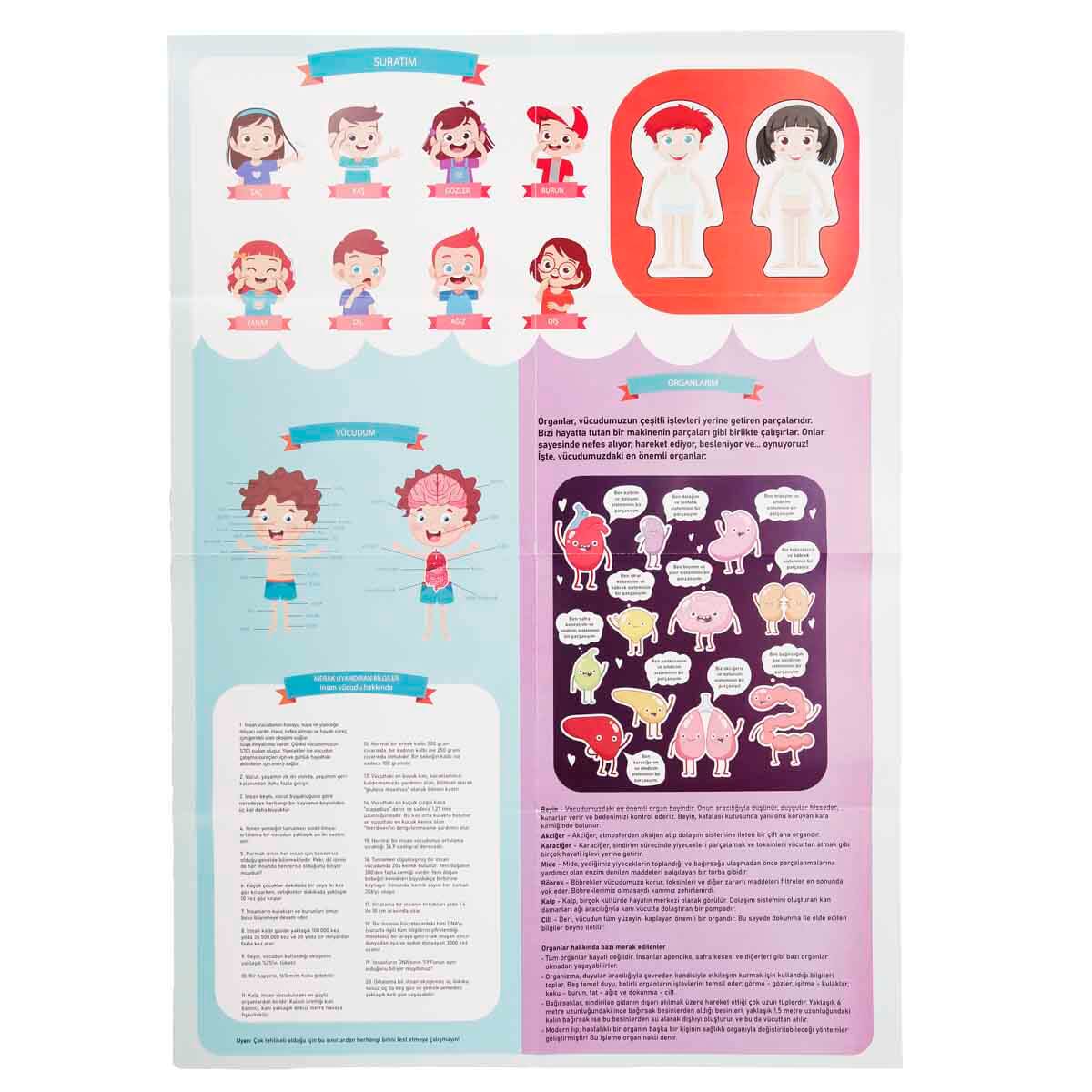 undefined - 0140d_Smile_Games_Insan_Vucudu_Puzzle_60_Parca_.jpg