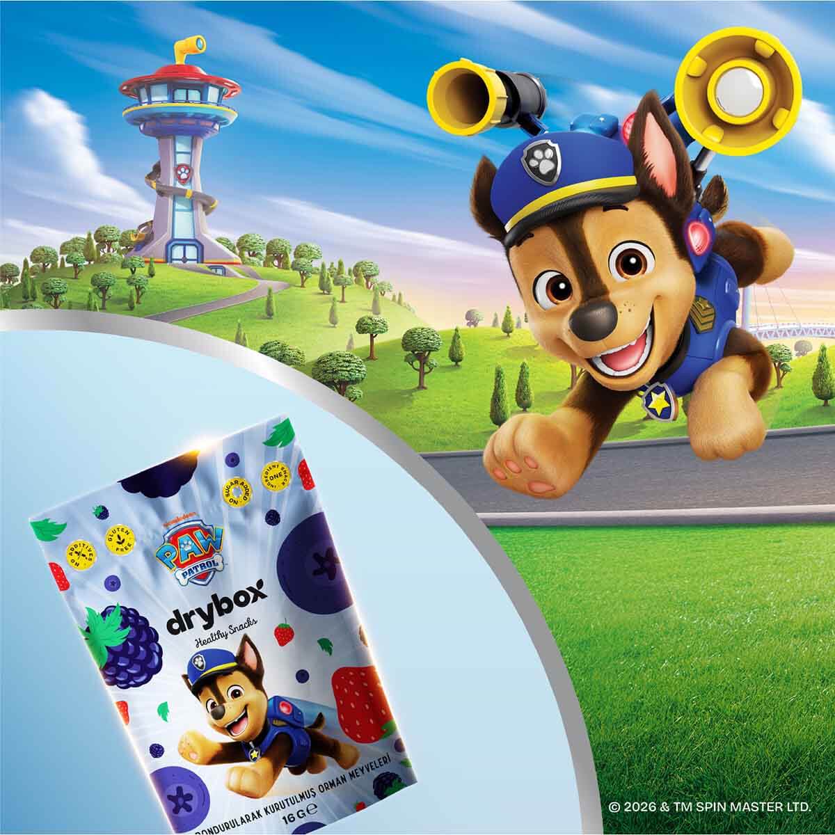 undefined - 02210_DryBOX_PAW_Patrol_Dondurularak_Kurutulmus_Orman_Me.jpg