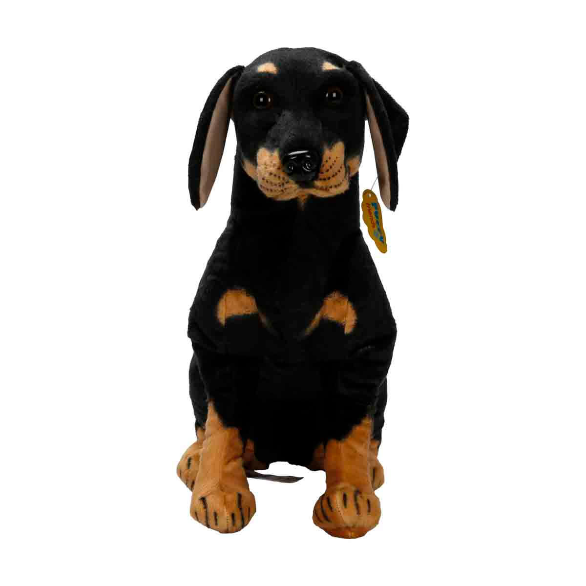 undefined - 098f2_Rottweiler_68_cm._Pelus.jpg