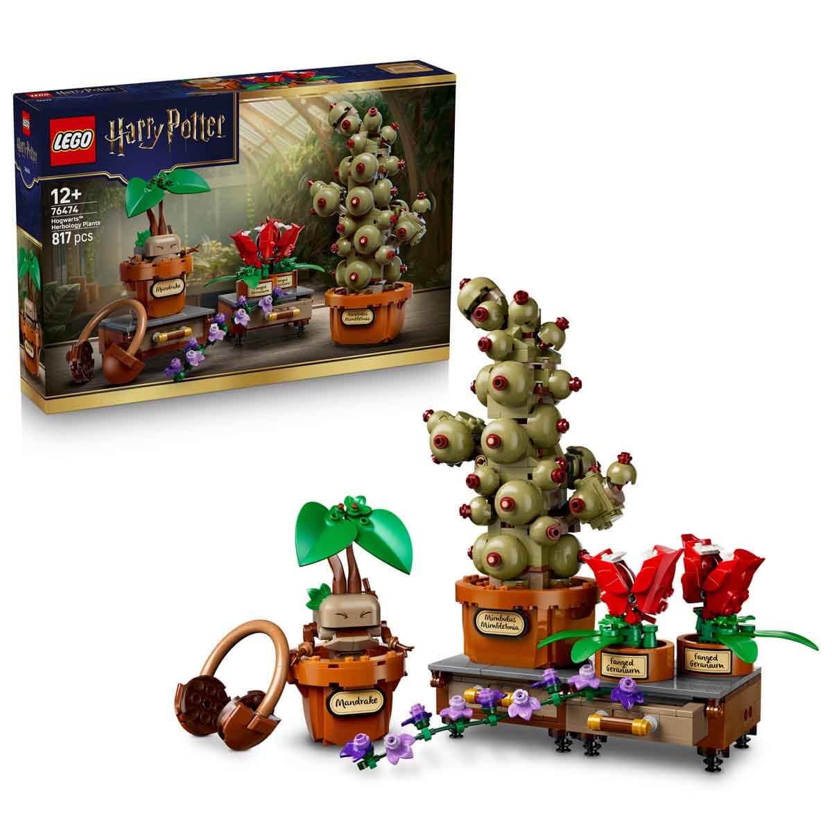 undefined - 0fe02_LEGO_Harry_Potter_Hogwarts_Bitkibilim_Bitkileri_76.jpg
