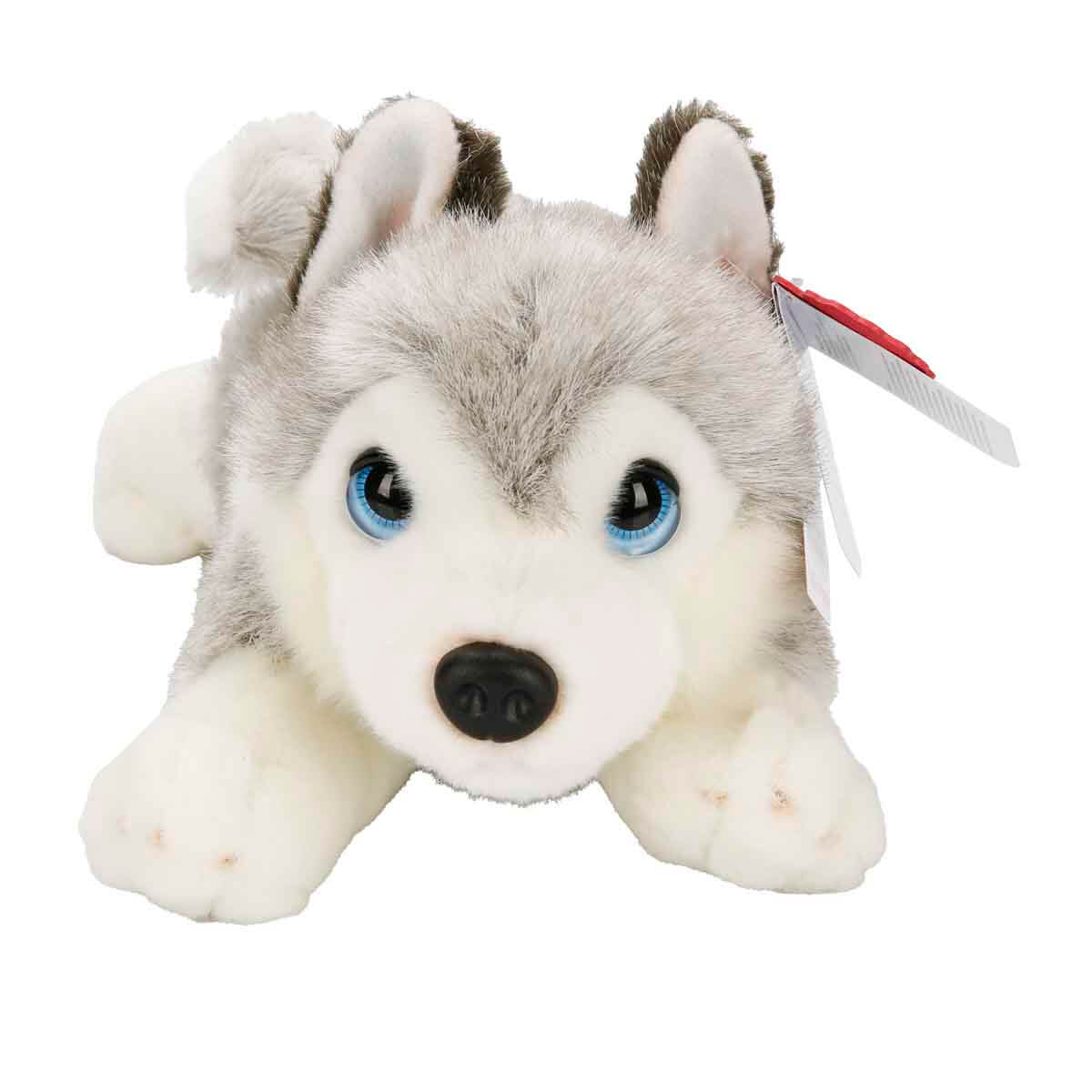 undefined - 121c4_Husky_Kopek_Pelus_32_cm.jpg