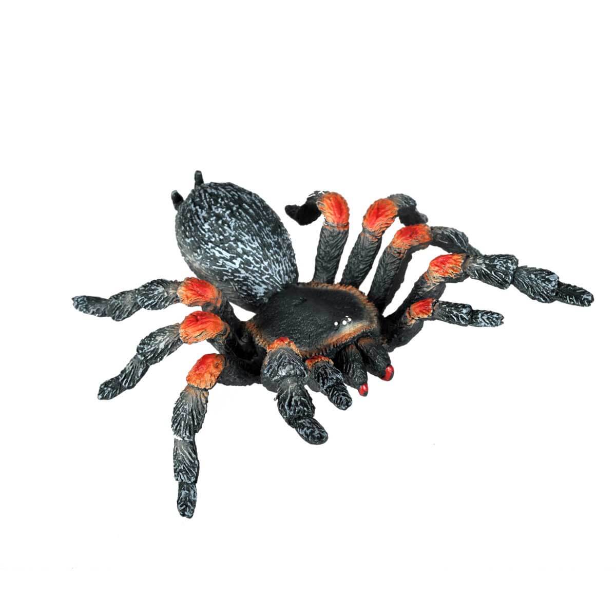 undefined - 13121_Orumcek_Tarantula.jpg