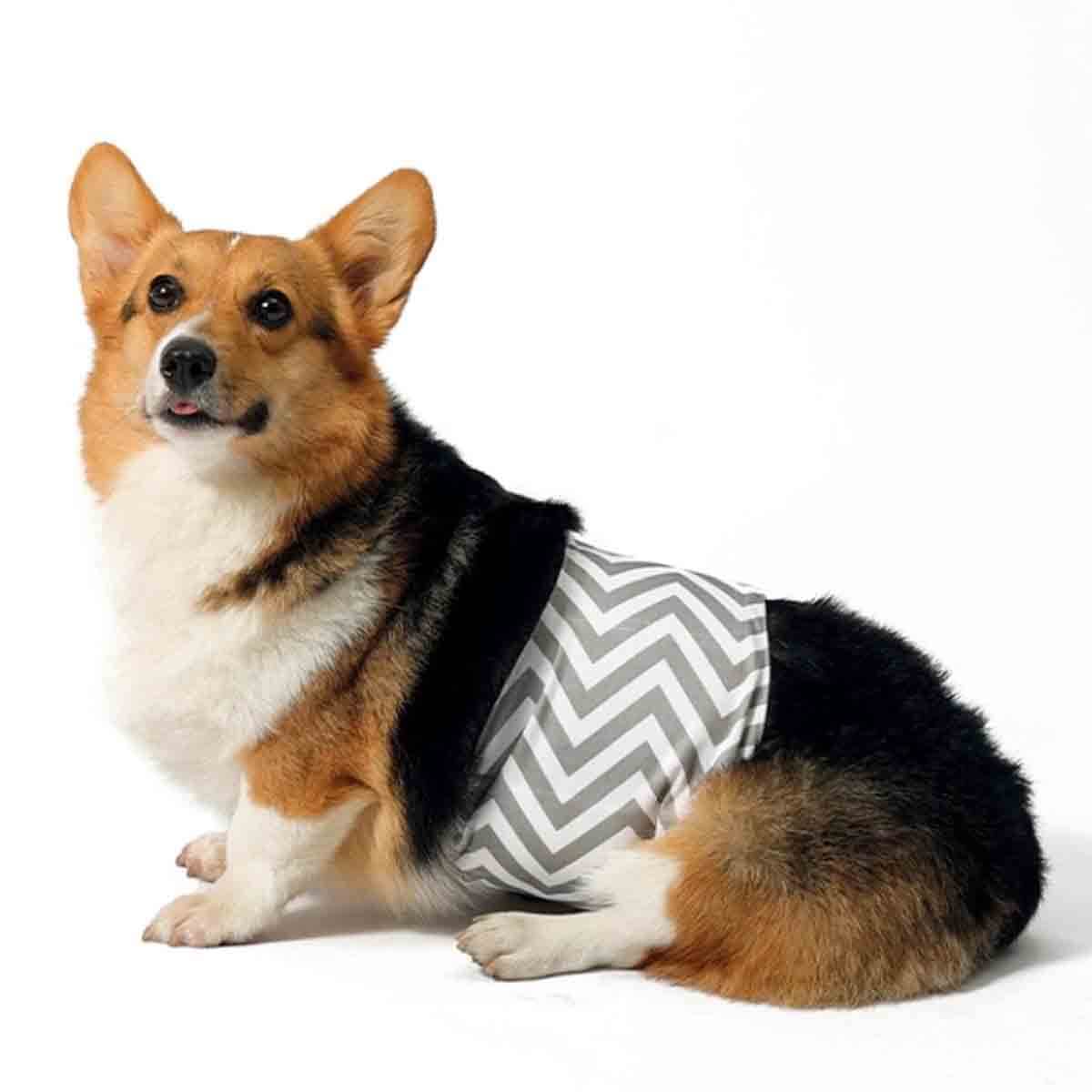 undefined - 13771_M_Pets_Erkek_Kopekler_Icin_Yikanabilir_Kulot_XXL.jpg