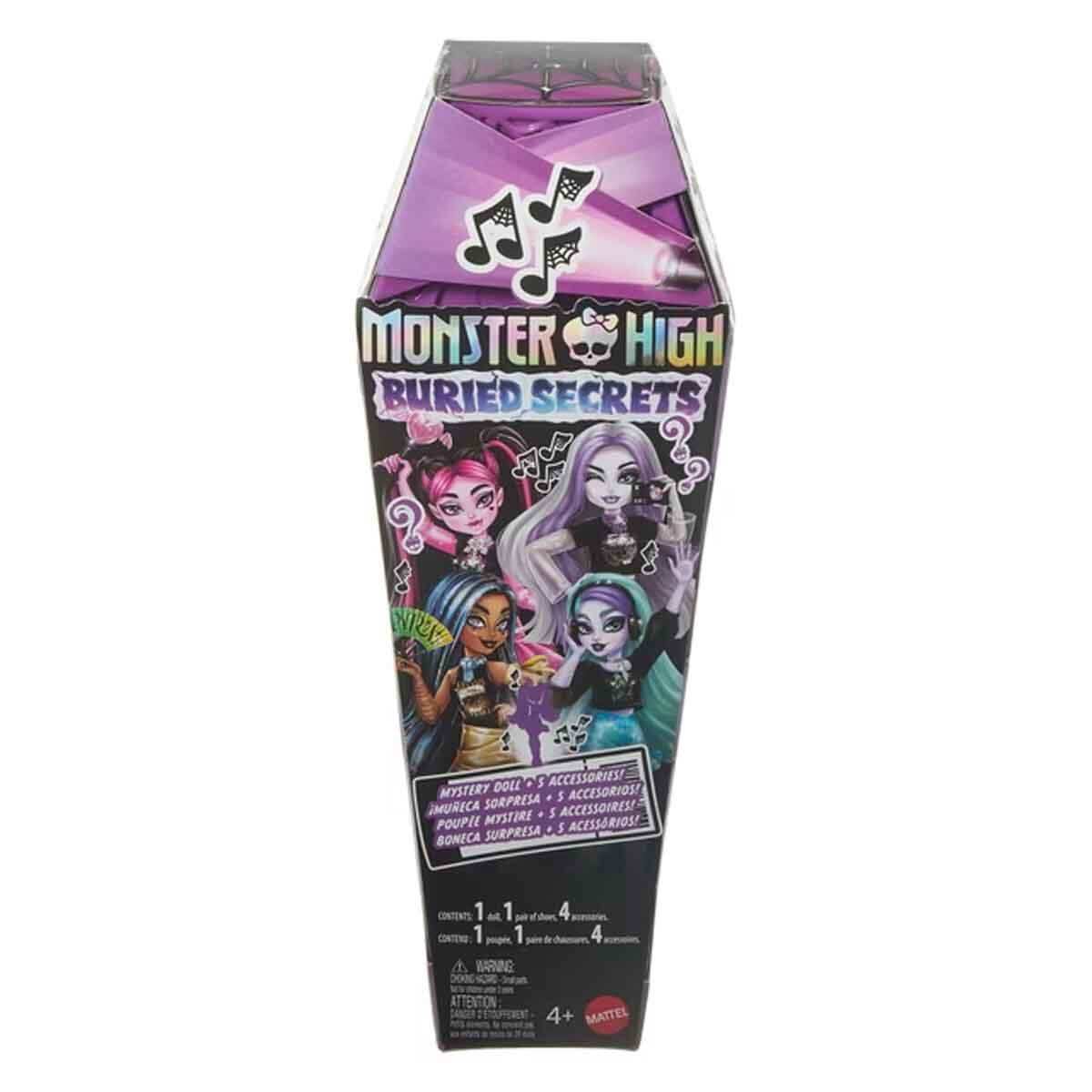 Monster High Gizemli Sırlar Sürpriz Paket HYV64 - Müzik Serisi