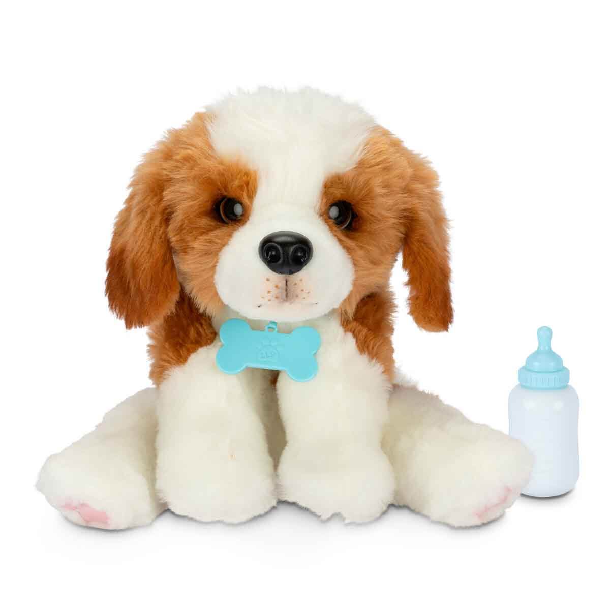 Little Pullip+ / Dog (犬) F-846 2mvetro Little Live Pets Yavru Köpek İyileşiyor 26679 – Welcome Baby